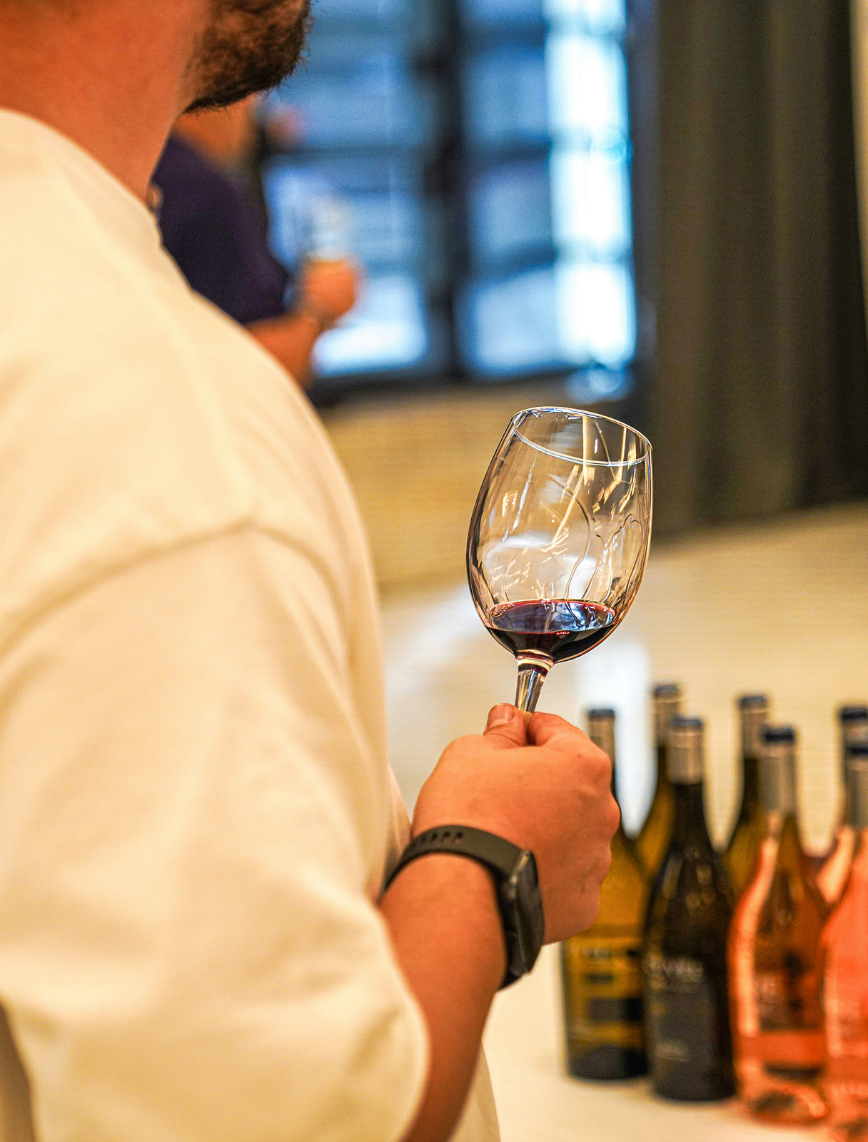 Lake Lucerne Region Wein Tasting