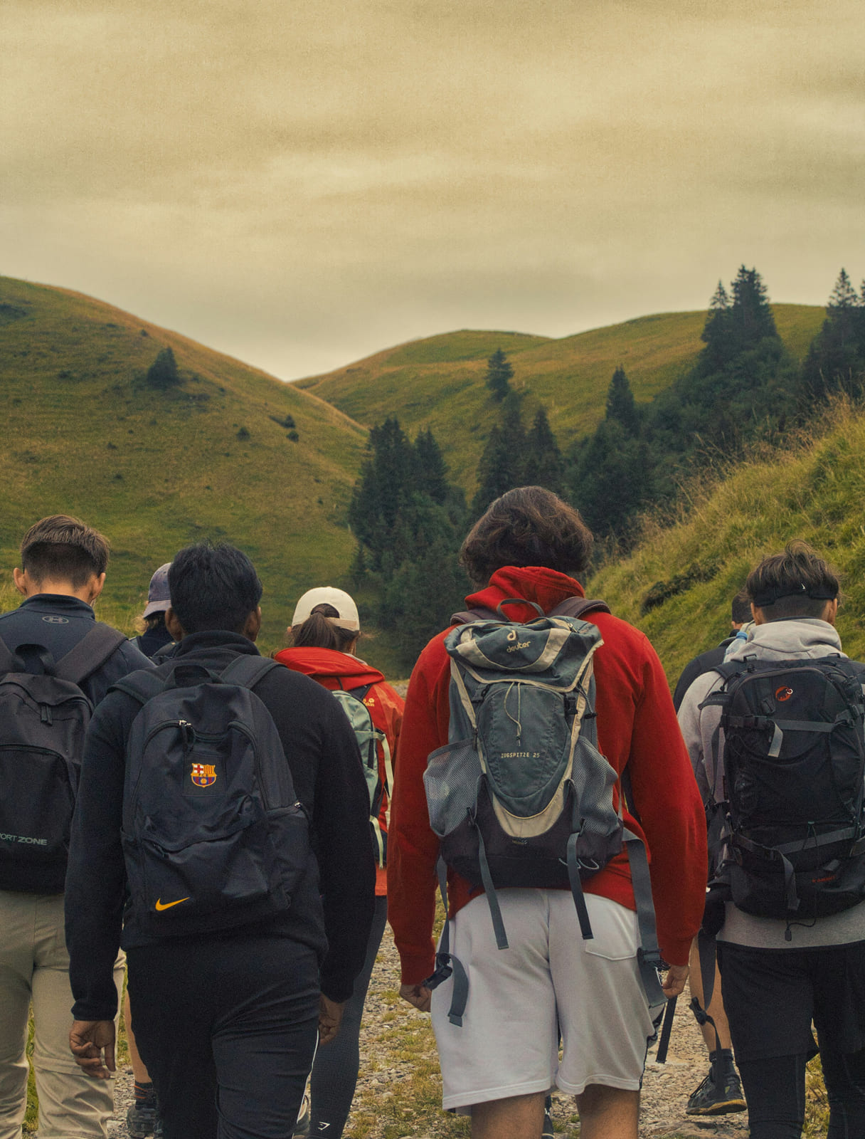 Lucerne walking and boat tour: The best Swiss Experience